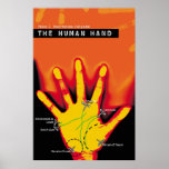The science of the hand posters