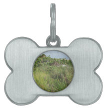 The Sea Dunes in Asphalt Art Pet Tags