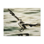 The Sea I See Postcard