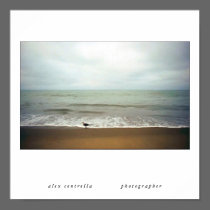The Sea                ... posters