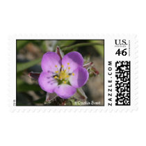 The Sea Sprite's Crown stamps