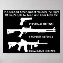 The Second Amendment Protects Print