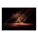 The Secret 3 posters