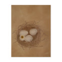 The Secret Egg postcards by Maedusae The Secret Egg postcards