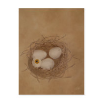 The Secret Egg postcards