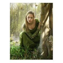 The Secret Forest Postcard postcards
