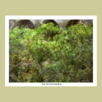 The Secret Garden posters