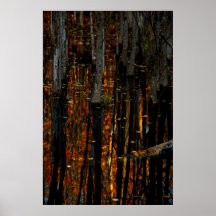 The secret of the trees print
