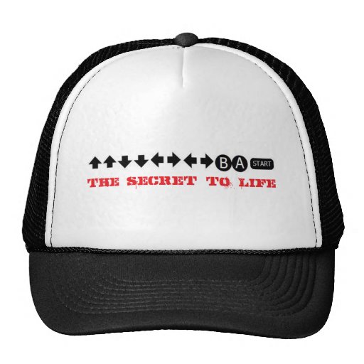 The secret to life mesh hat