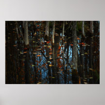 The Secrets of the Leaves Print