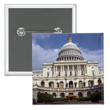 The Senate, Washington, D.C., USA Pins