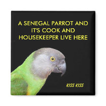 The Senegal Parrot Pet magnets by cowpainter The Senegal Parrot Pet magnets