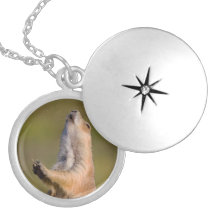 The Sentinel Necklace