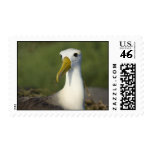 The Sentinel Stamp