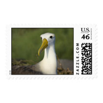 The Sentinel Stamp