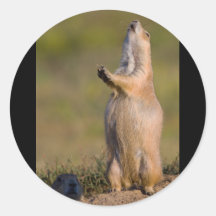 The Sentinel Sticker