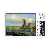 The Serengeti, Cheetah Stamp