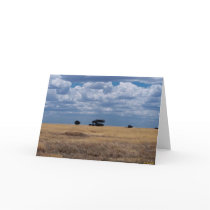 The Serengeti Plain cards