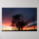 The setting on the tree posters