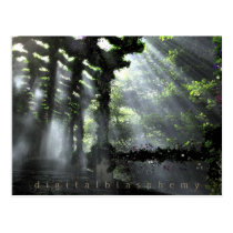 flowers, path, shadows, forest, light, summer, spring, Postcard with custom graphic design