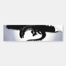 The Shadow in the Light Bumper Stickers