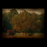 The Shanty and Tree posters