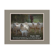 The Sheep of His PasturewScripture postcards by Netnita The Sheep of His PasturewScripture postcards