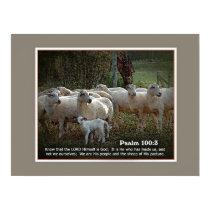 The Sheep of His PasturewScripture posters