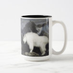 The Sheep & the Goats mugs