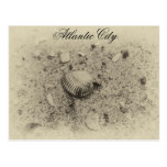 The Shells of Atlantic City Post Card