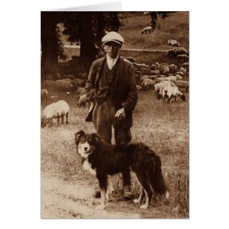 "The Shepherd"~Border Collie Notecard Cards