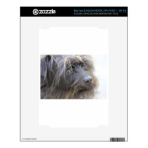 The Shiggy Dog NOOK Skin