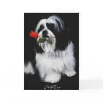 The Shih Tzu Dog cards