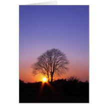 The Shortest Day Cards