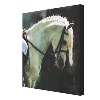 The Show Pony canvas wrappedcanvas