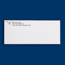 The Shriner envelopes