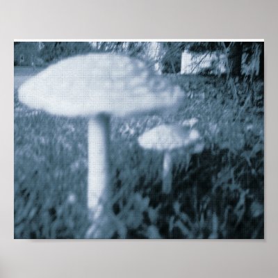 shroom poster