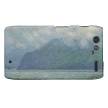 The Silver Veil and the Golden Gate Motorola Droid RAZR Covers