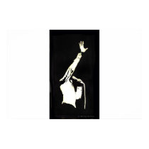 The Singer posters by SeGott The Singer posters