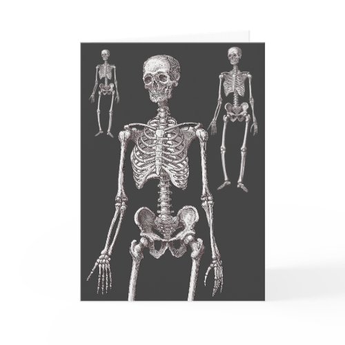 The Skeletons Are Out of the Closet – Unique Greeting Card