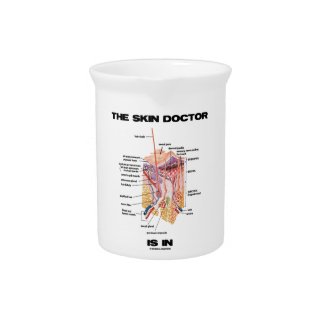 The Skin Doctor Is In (Anatomy Dermatology) Pitchers