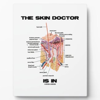 The Skin Doctor Is In (Anatomy Dermatology) Photo Plaque