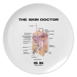 The Skin Doctor Is In (Anatomy Dermatology) Dinner Plate