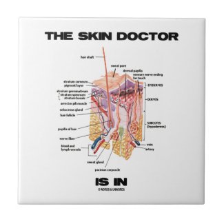 The Skin Doctor Is In (Anatomy Dermatology) Tile
