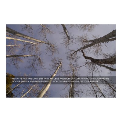 The sky is not the limit... posters by mitchthrower