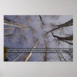 The sky is not the limit... posters