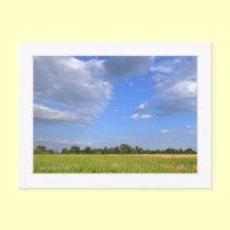 The sky is the Limit postcards