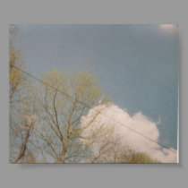The sky. posters