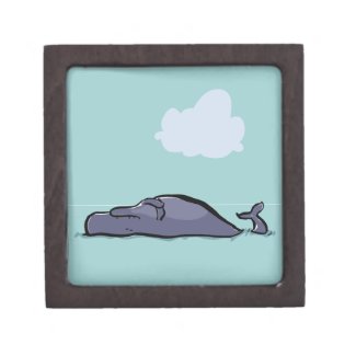 The sleeping whale