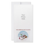 The Sleigh Ride Photo Card